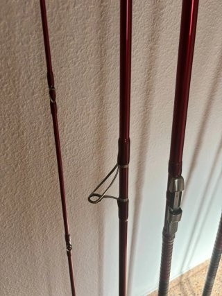 Pareja Cañas Daiwa Tournament Caster 1