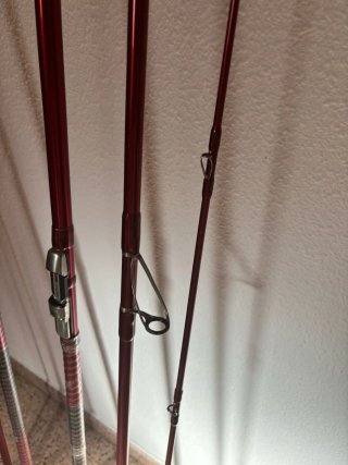 Pareja Cañas Daiwa Tournament Caster 1