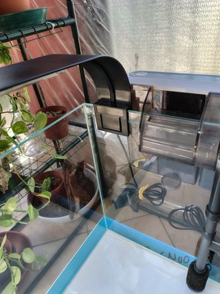 Acquario AQPET Fresh Box 30