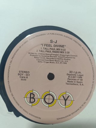 Lote vinilos trance finales de los 90s / L260603