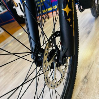 Bicicleta Eléctrica RZOGUWEX RX-700
