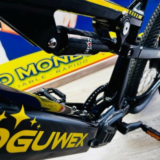 Bicicleta Eléctrica RZOGUWEX RX-700