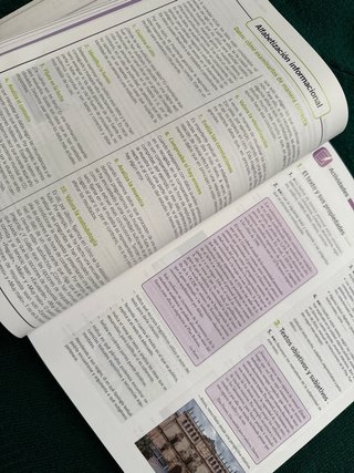 Lengua y Literatura 2 bachillerato