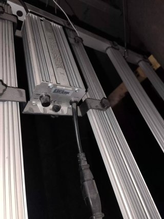 Luminaria LED para cultivo interior, 2 años de uso