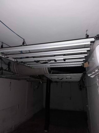 Luminaria LED para cultivo interior, 2 años de uso