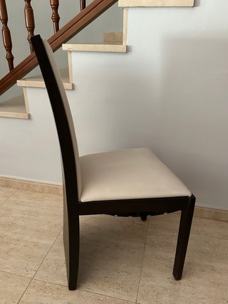 6 Sedie da pranzo moderne