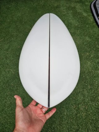 Tabla Surf Morning of the Earth NUEVA