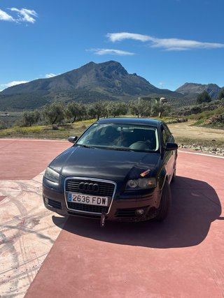 Audi A3 allstreet 2006