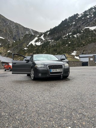 Audi A3 allstreet 2006