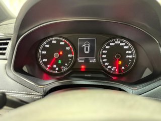 SEAT Arona 2019 TGI Pegatina Eco