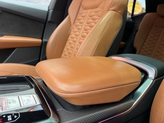 AUDI Q8 RS Q8 TFSI 441kW 600CV quattro tipt