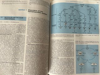 Harrison's Principles of Internal Medicine