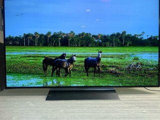 TV LG OLED 48 4K UHD