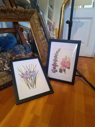 Lote de 2 Cuadros Vintage Flores