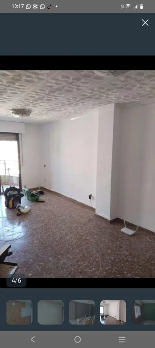 Pintor económico