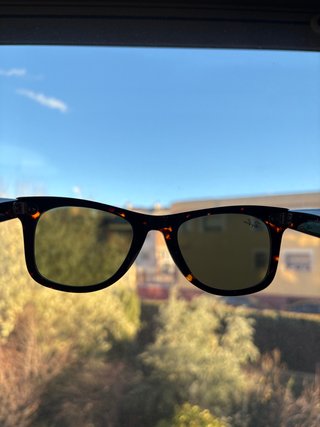 Gafas de Sol Ray-Ban Wayfarer Tortoise/G15 Green
