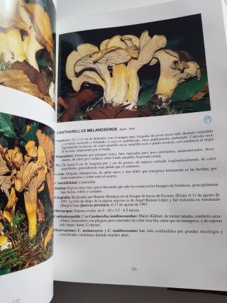 Las setas en la naturaleza.  Iberdrola libro