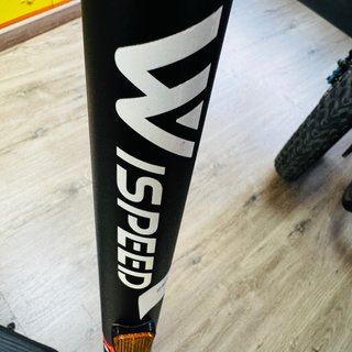Patinete Eléctrico WISPEED