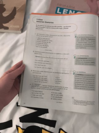 Libro lengua 4 primaria  anaya colegio greenwich