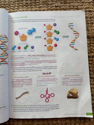 Biología y Geología, 4 Secundaria, Andalucía Re...
