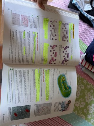 Biología 2 bachillerato