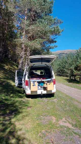 Camper Volkswagen