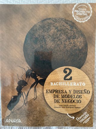 Empresa y diseño de modelos de negocio, 2 Bachi...