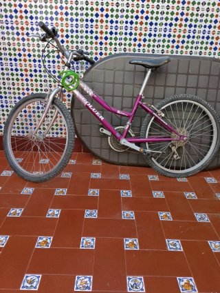 Bicicleta Coluer Niña Morada