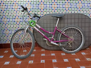 Bicicleta Coluer Niña Morada