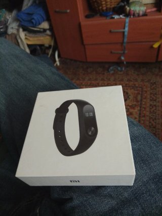 Pulsera Actividad Xiaomi Mi Band 2 Negra