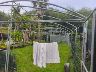 Estructura Invernadero Metálica 15x5m