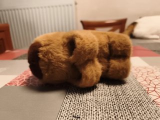 Peluche Capibara Suave