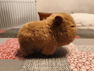 Peluche Capibara Suave