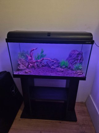 ACUARIO COMPLETO 100L, pecera, terrario
