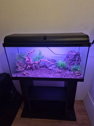 ACUARIO COMPLETO 100L, pecera, terrario