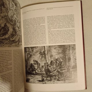 Le collezioni d'arte della Biblio Reale di Torino