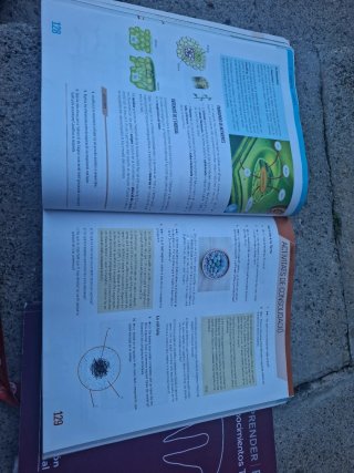 BIOLOGIA I GEOLOGIA 1