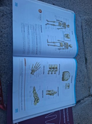 BIOLOGIA I GEOLOGIA 1