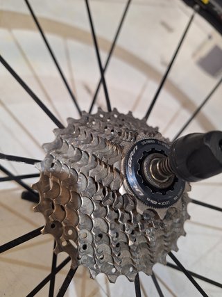 Rueda Trasera Mavic Ksyrium Elite