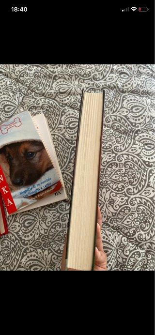 Lotto libri tema animali