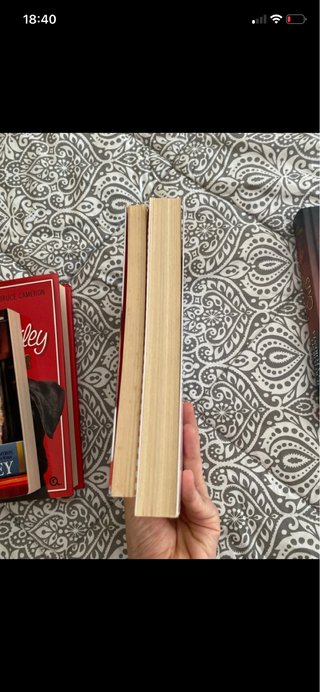 Lotto libri tema animali