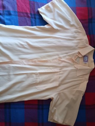 Camisas Pierre Cardin