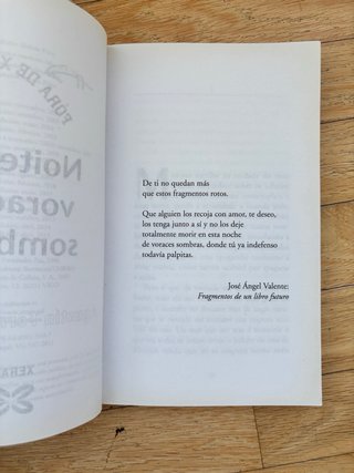 Noite de voraces sombras