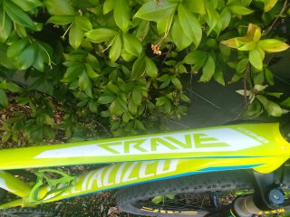 Bicicleta Specialized Crave Comp 29