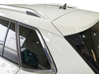 Skoda Kamiq 1.0 TSI 81kW (110CV) Ambition