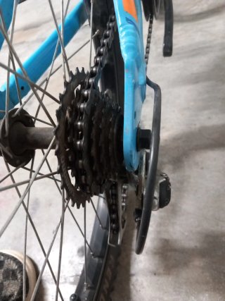 Bici per bambini 20 pollici blu