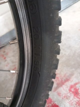 Bici per bambini 20 pollici blu