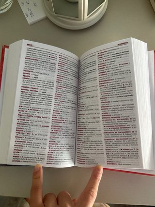 Larousse diccionario pocket español-francés,