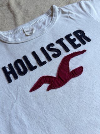 Camiseta Hollister Bordada California Y2K
