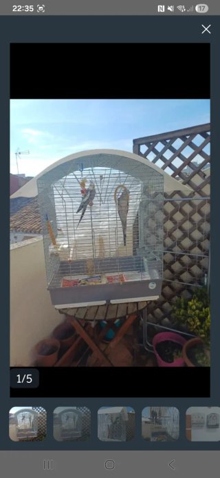 Jaulas para pájaros